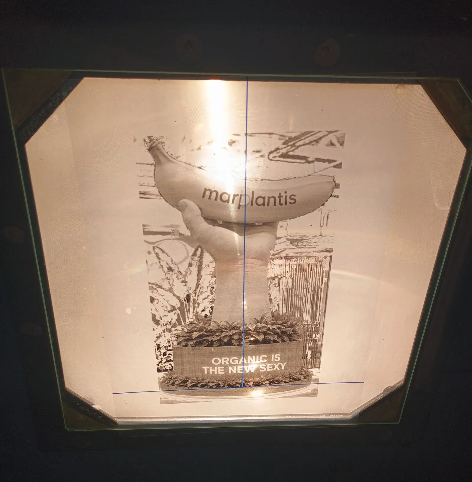 El diseño de la mano con el plátano de Marplantis impreso sobre una mesa de luz