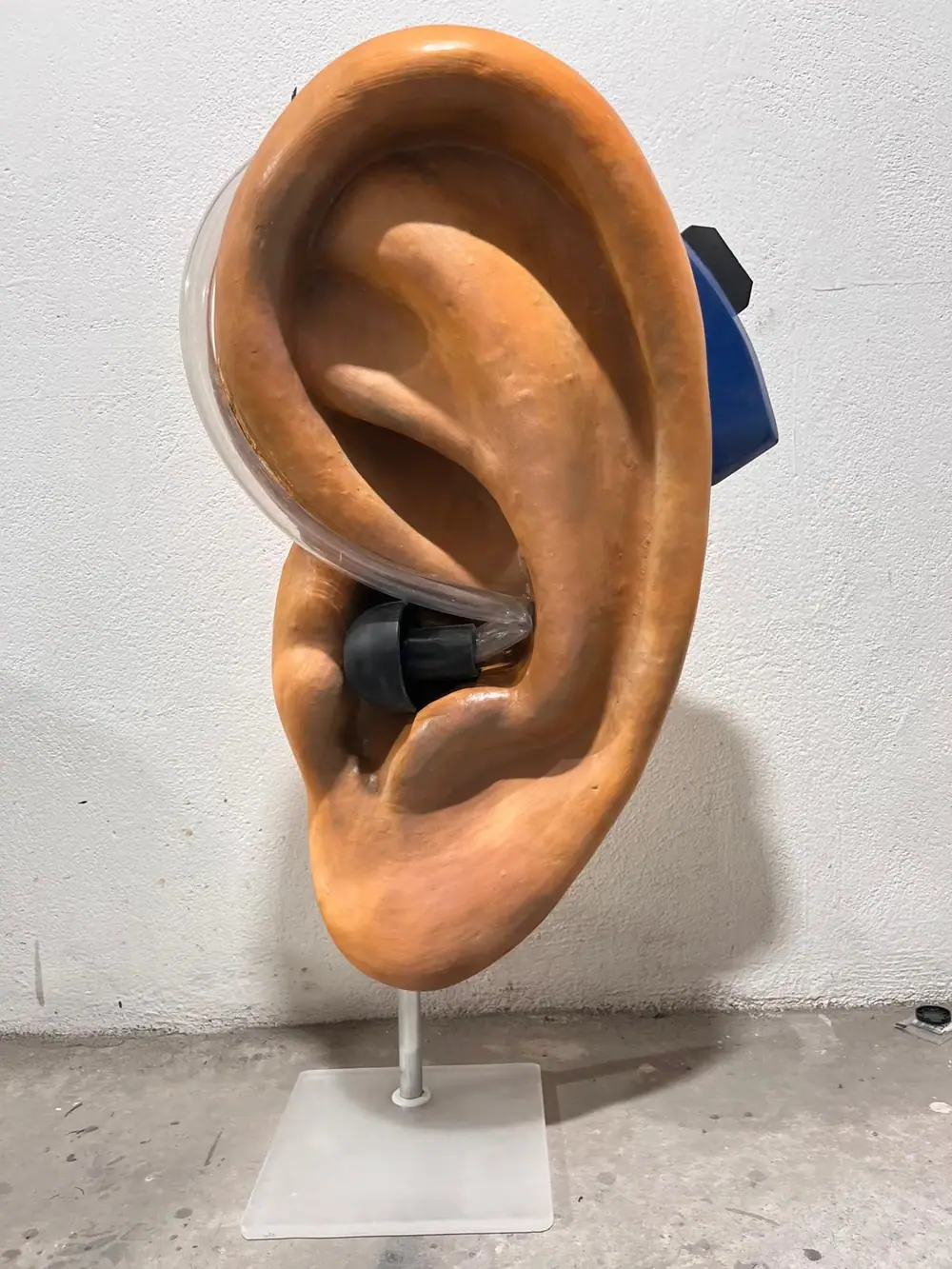 Oreja gigante esculpida y pintada en color piel con un audífono, sobre una peana