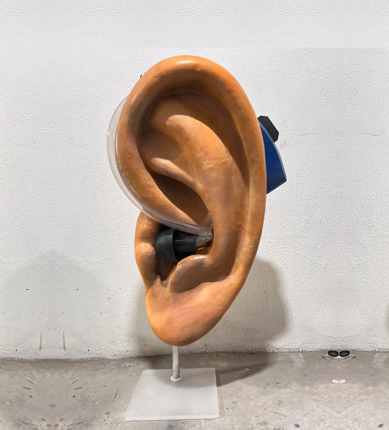 Oreja gigante esculpida y pintada en color piel, sobre una peana